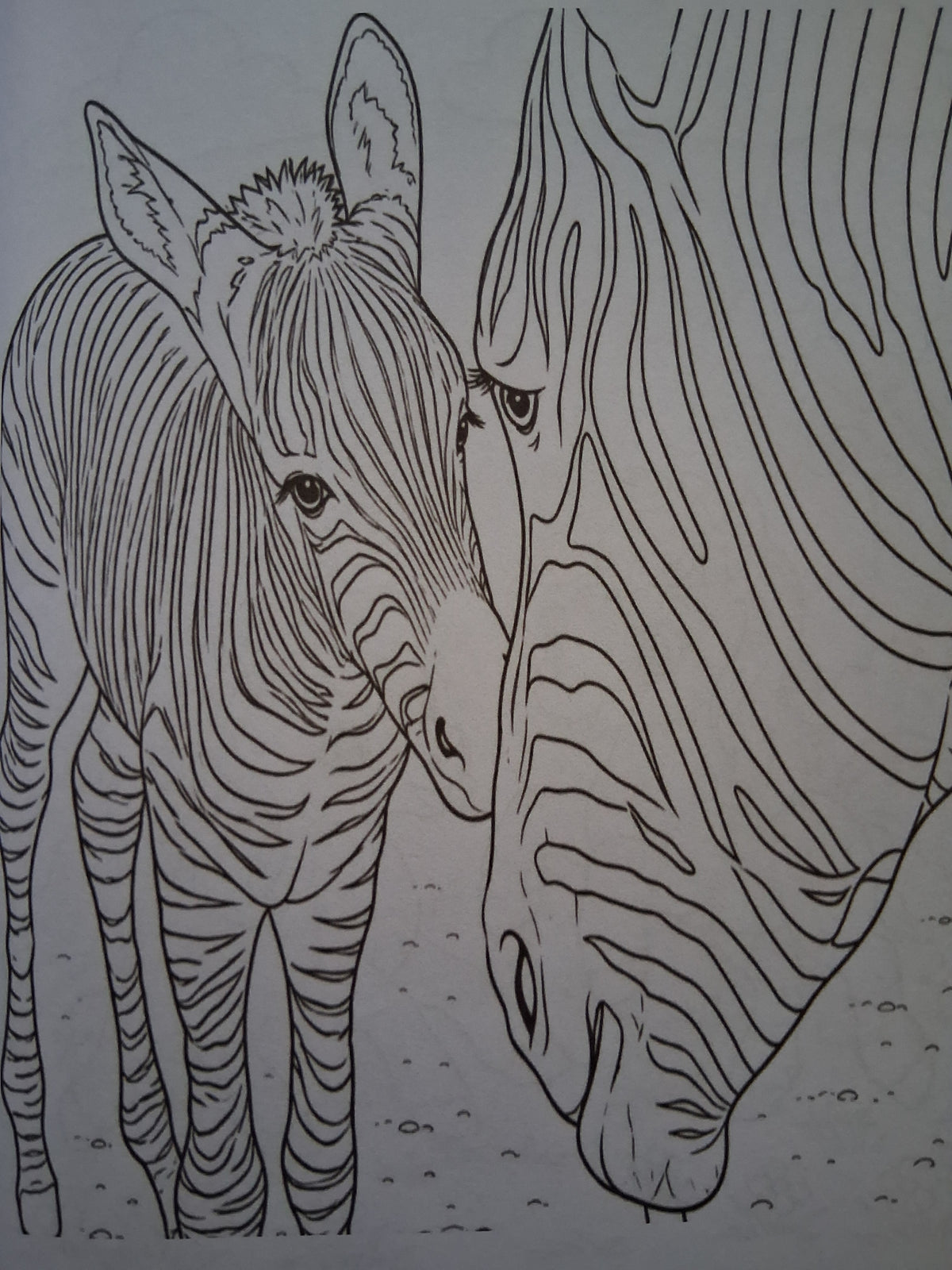 Horses, Unicorns, Pegasus, Ponies & Zebras Coloring Book