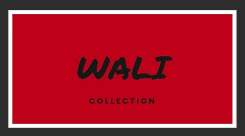 Wali™ Luxe Blaque & Gold Python Print High Top Sneakers with Red Label, Side Zipper and Gold Rubber Soles