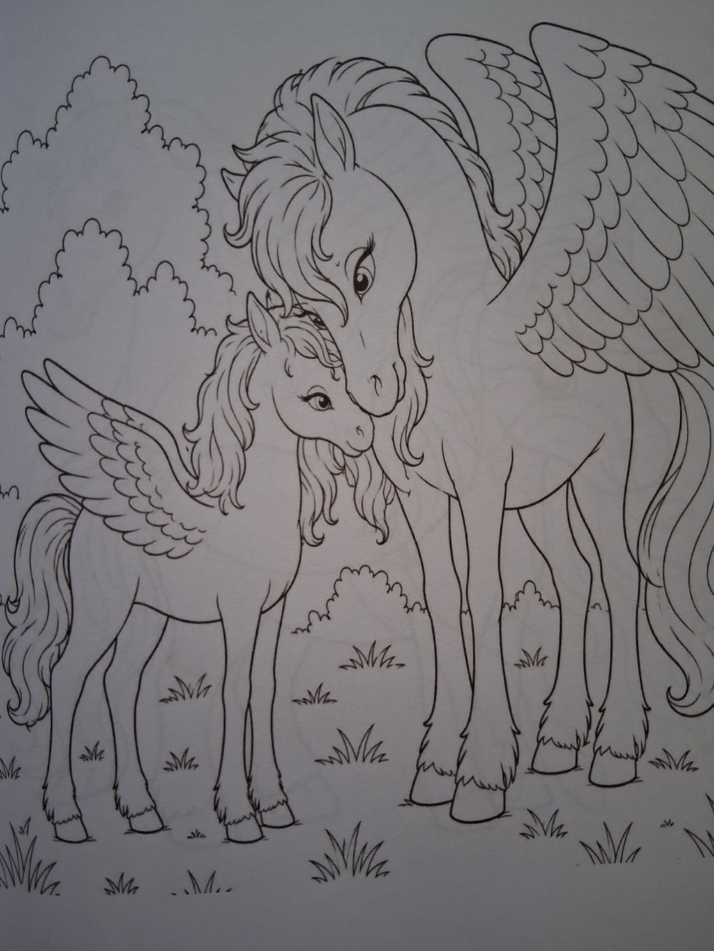 Horses, Unicorns, Pegasus, Ponies & Zebras Coloring Book